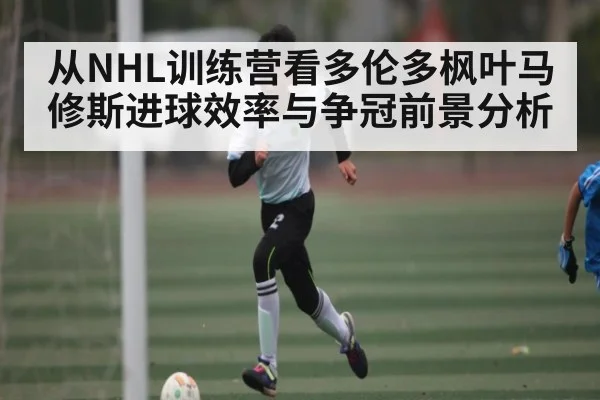 从NHL训练营看多伦多枫叶马修斯进球效率与争冠前景分析（Xingkong yule）