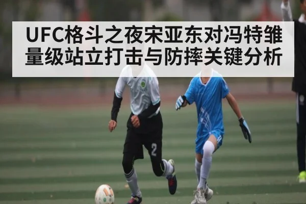 UFC格斗之夜宋亚东对冯特雏量级站立打击与防摔关键分析（Xingkong yule）